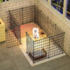 Indoor Dog Playpen for Small Dogs - Portable Pet Gate for Puppies, Teddy, Bichon, Corgi, Chihuahua - Home Use Dog Fence & Cage