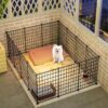 Indoor Dog Playpen for Small Dogs - Portable Pet Gate for Puppies, Teddy, Bichon, Corgi, Chihuahua - Home Use Dog Fence & Cage